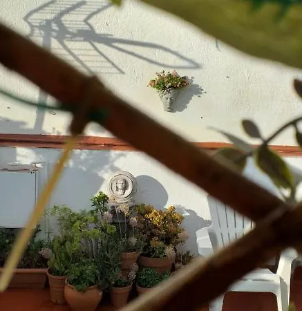 Apartamento Nundinae *