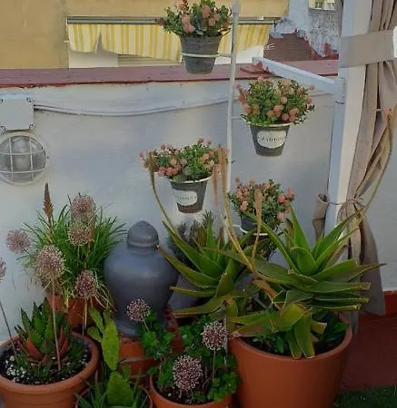 Nundinae Apartamento