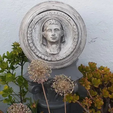 Nundinae * Merida