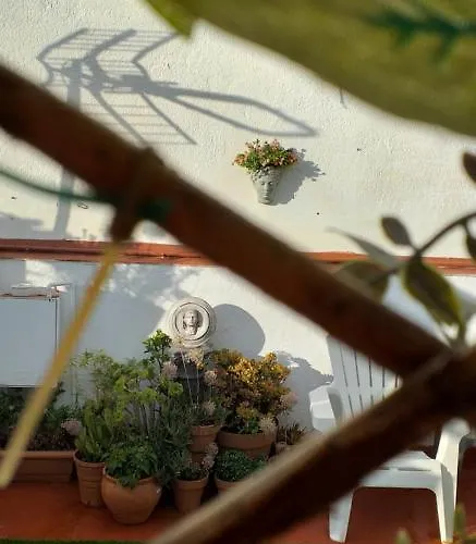 Апартаменты Nundinae *