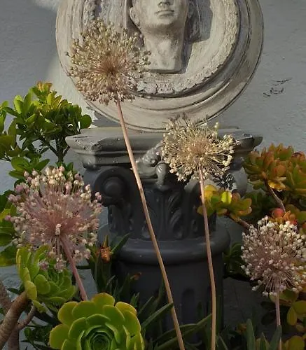 Апартаменты Nundinae Мерида