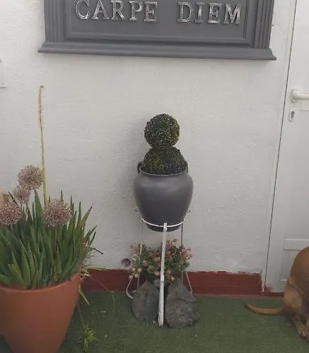 Апартаменты Nundinae